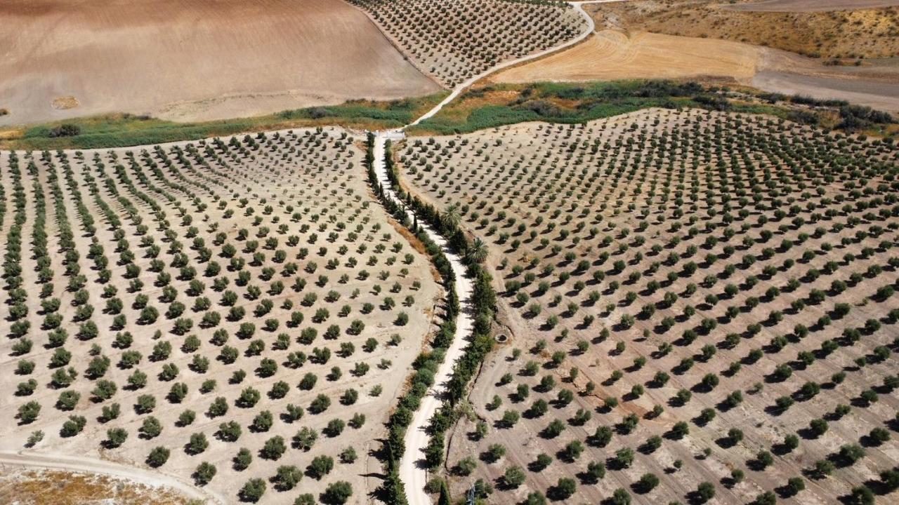 Cortijo Donana Villa La Puebla de Cazalla Luaran gambar