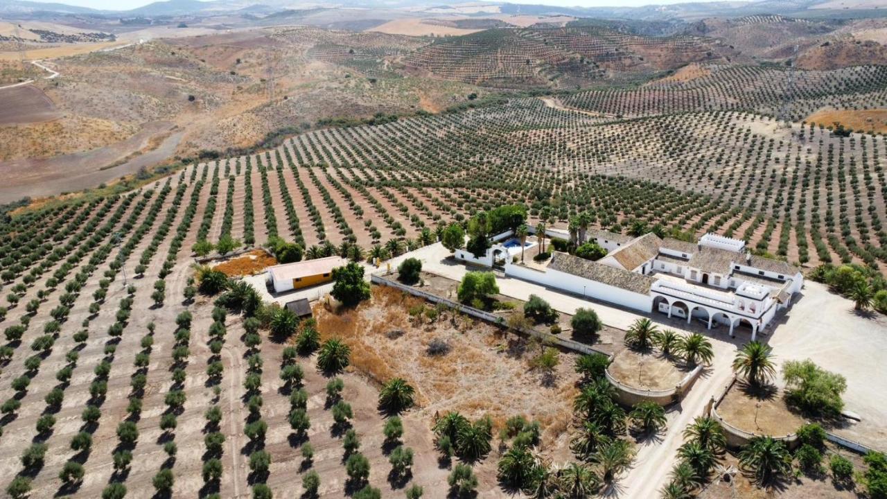 Cortijo Donana Villa La Puebla de Cazalla Luaran gambar